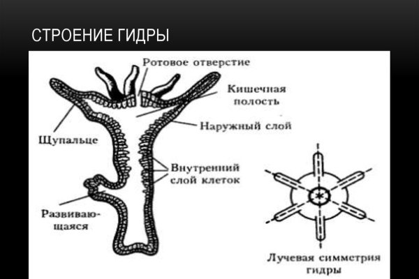 Ссылка на кракен тор