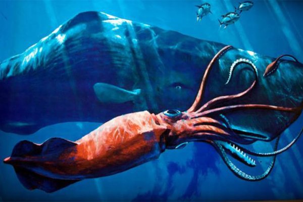 Доступ к kraken через vpn