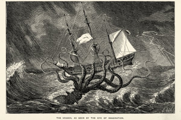 Kraken это современный маркетплейс