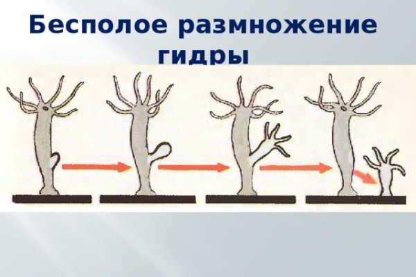Кракен это даркнет