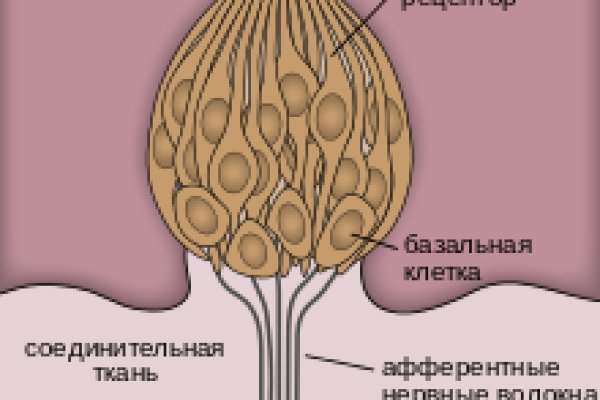 Вместо гидры