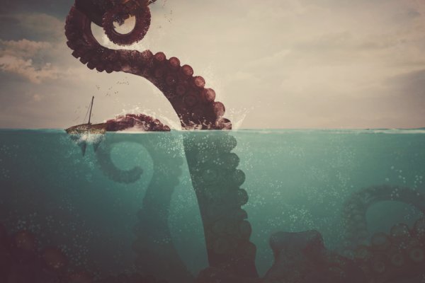 Kraken 6 at
