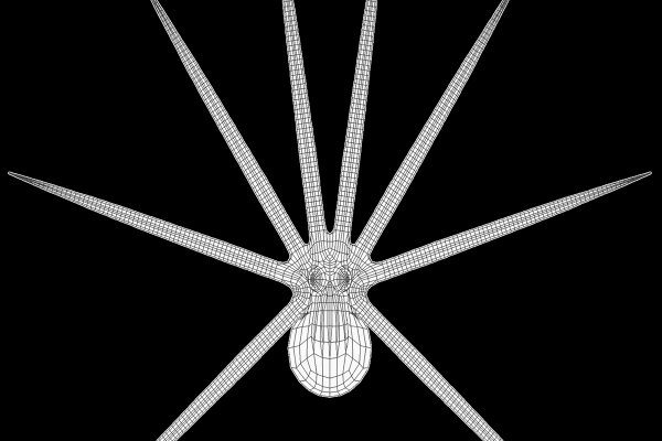 Kraken 19at