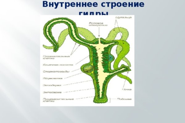 Тор браузер кракен