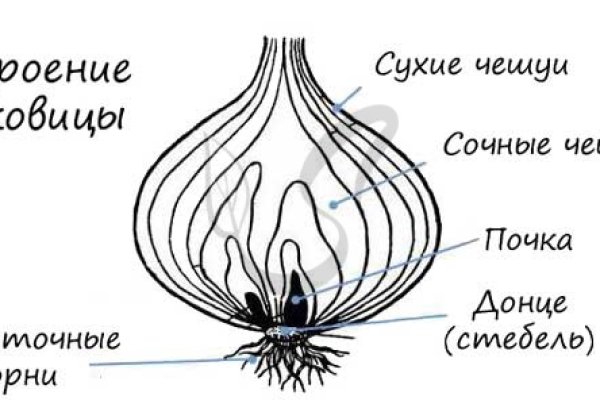 Kraken дарк магазин