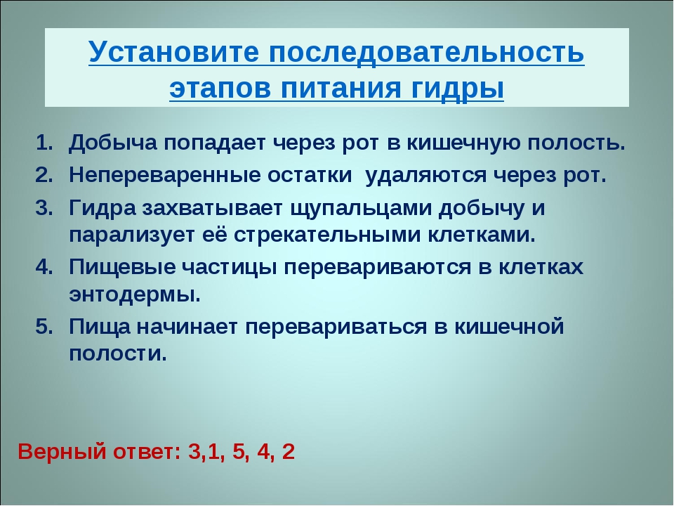 Даркнет официальный сайт на русском