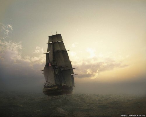 Kraken 5 at